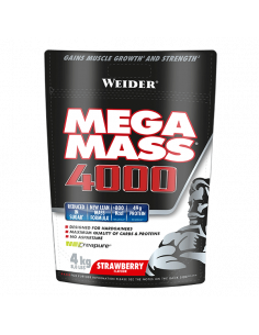 MEGA MASS 4000 4 KG 2