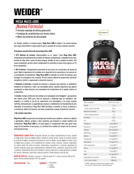 MEGA MASS 4000 3 KG