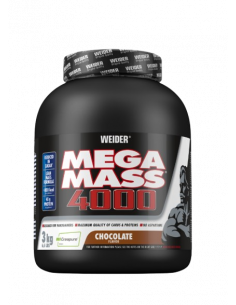 MEGA MASS 4000 3 KG