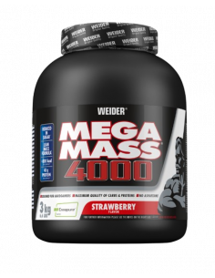 MEGA MASS 4000 3 KG 2