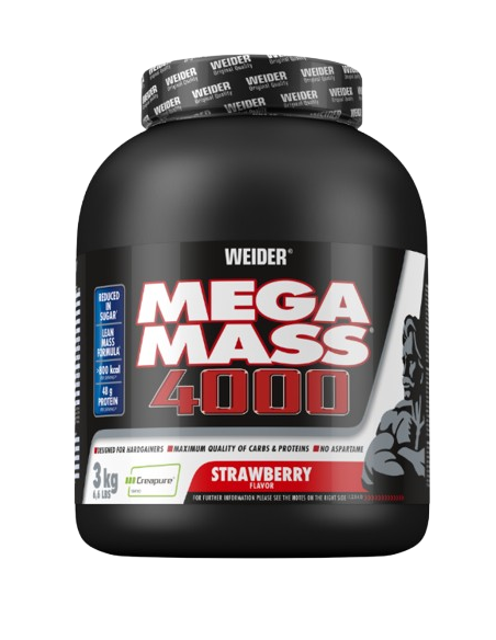 MEGA MASS 4000 3 KG